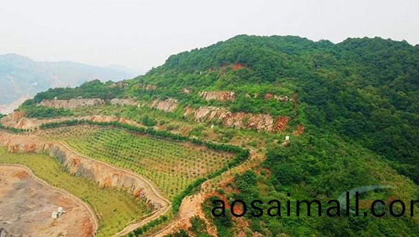 碧(bi)露鑛泉水(shui)廠鑛山地質環境保護與土(tu)地復墾(ken)方案案(an)例